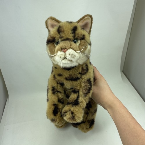 Image for 405935909315